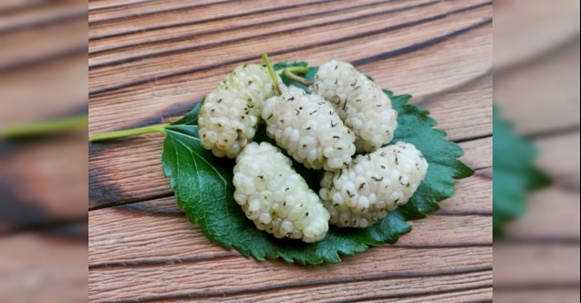 Meyve tabaklarında saklı gizli tehlikeler!