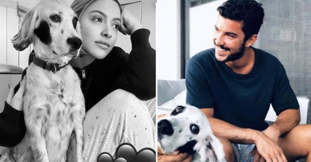 Kaan Yıldırım&#39;dan Benek’li gönderme