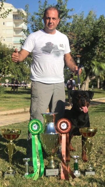 ROTTWEİLER’LARI İLE AVRUPA ŞAMPİYONASINA HAZIRLANIYOR