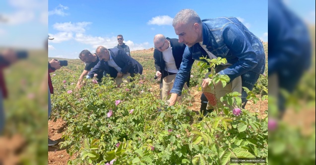 İngiltere ve Çin’deki iki şirketten ortaklık teklifi aldım