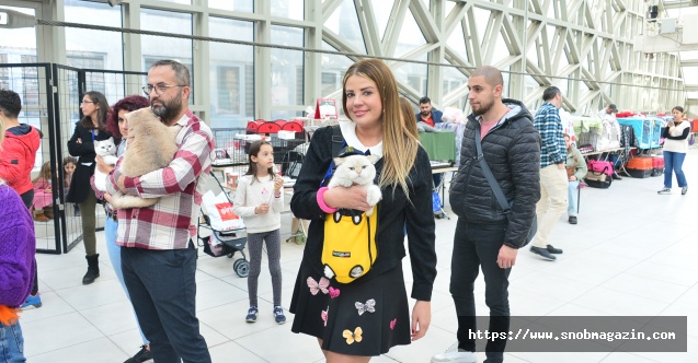 Esra Sönmezer’in kedisi de tescillendi