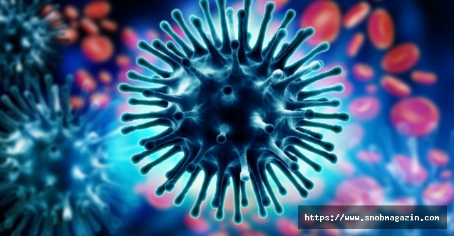  H1N1 Virüsü Nedir? Nasıl Bulaşır?