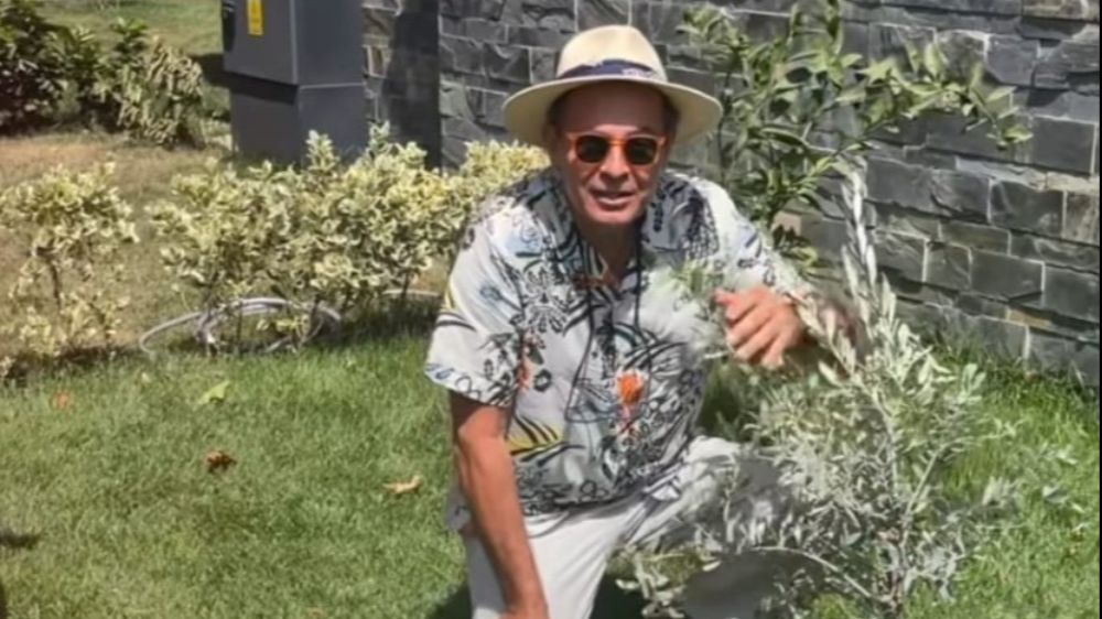 Artık dikili bir ağacı var!