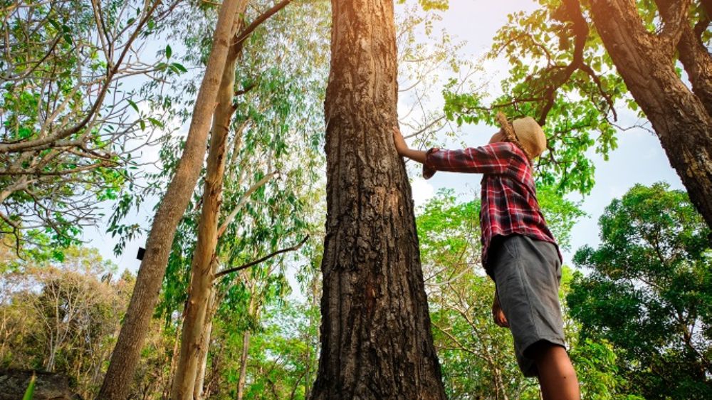 İklim değişikliği mental sağlığınıza etki edebilir