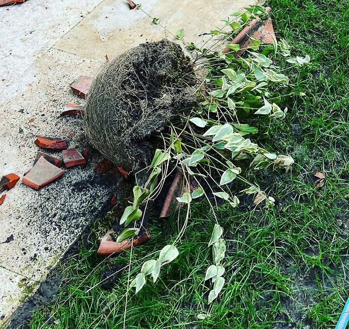 Ünlü şarkıcı Nazan Öncel ölümden döndü