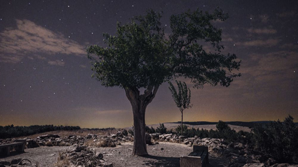 “Sessiz Gözcüler” fotoğraf sergisi Akasya’da