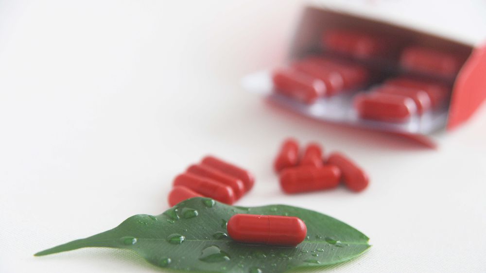 Amerikan Ginseng'i "Cereboost" hafıza ve beyin için en şifalı içerik