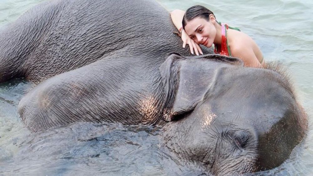 Ünlü oyuncu Rabia Soytürk'ün fil pozları olay oldu   