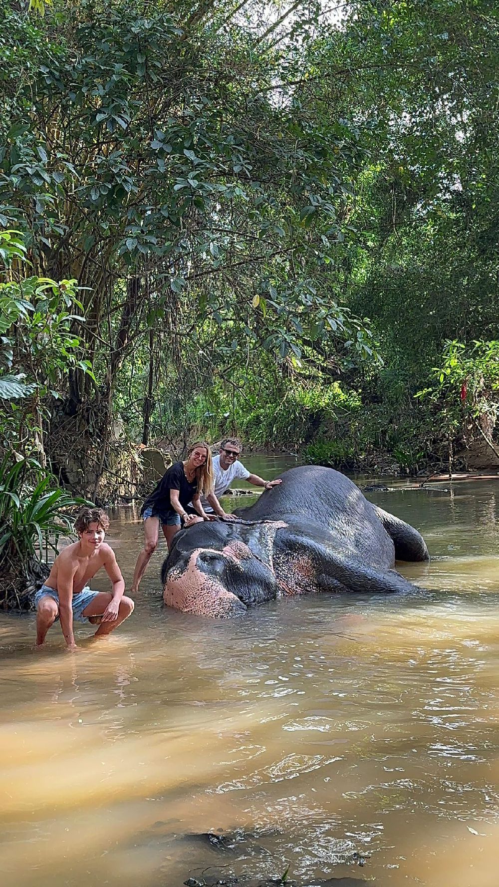 Ivana Sert'in Sri Lanka’da fil yıkama serüveni