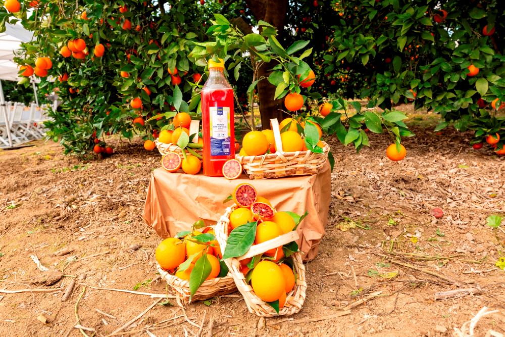 Metro Türkiye, coğrafi işaret tesciline aday Mersin kan portakalının izinde