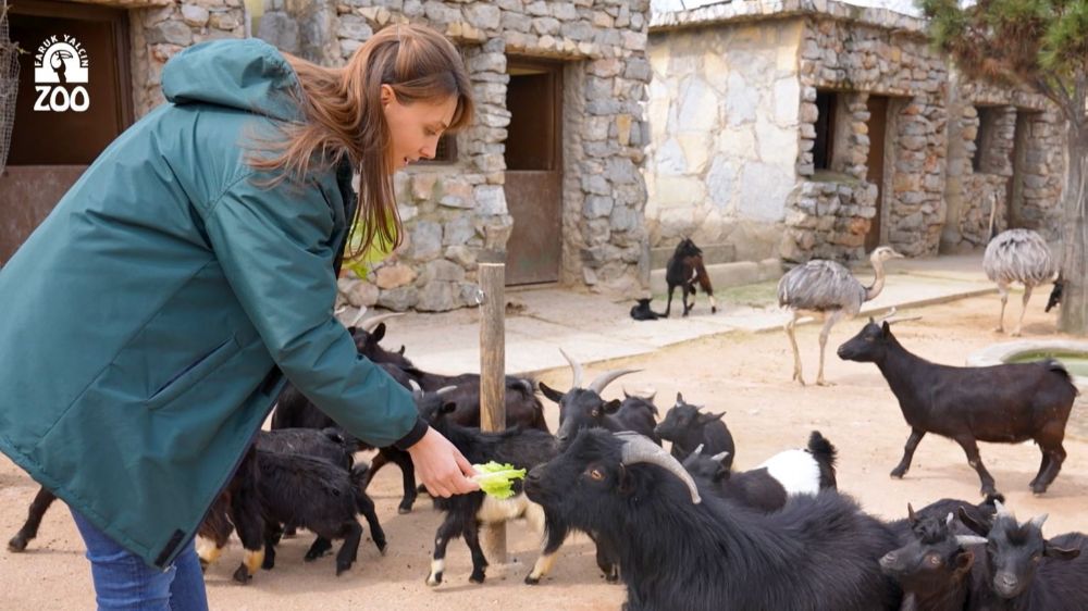 FYZoo’da çifte bayram var!