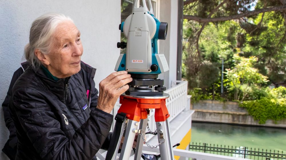 Jane Goodall İstanbul'un yaban hayatı ile buluştu