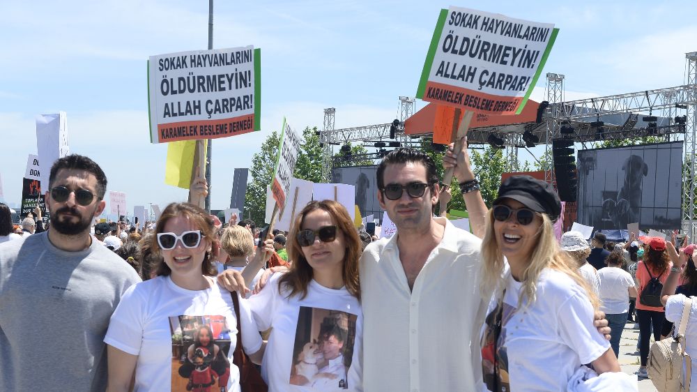 Ünlülerden sokak hayvanlarına destek