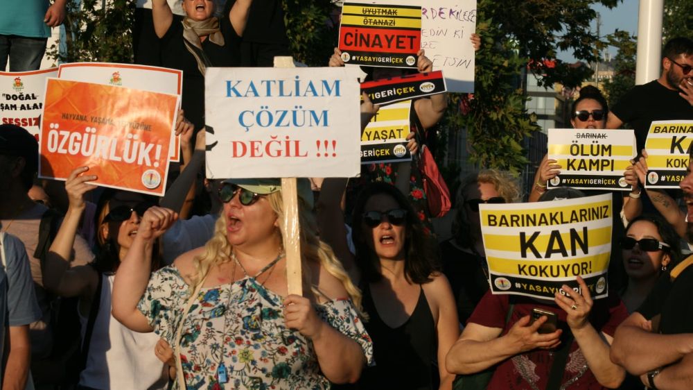 Hayvan hakkı savunucuları: Yasayı sokakta biz yazacağız!