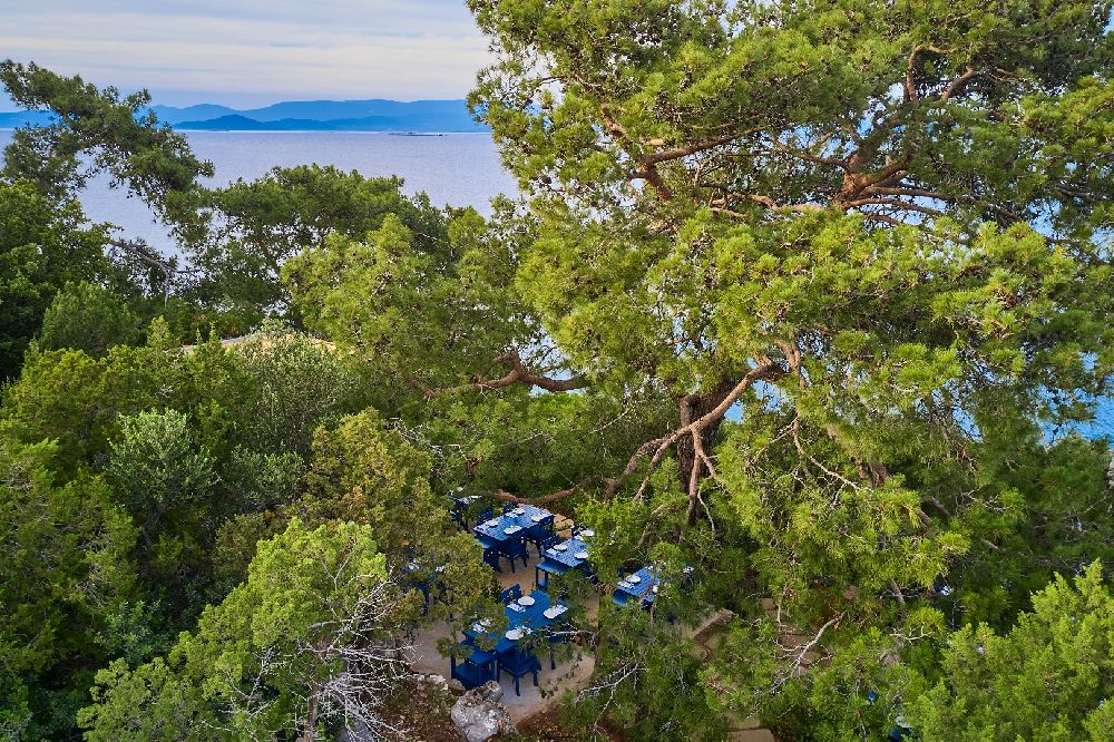 Ters Köşe: Bodrum Loft’ta eşsiz bir balık ve meze restoranı deneyimi