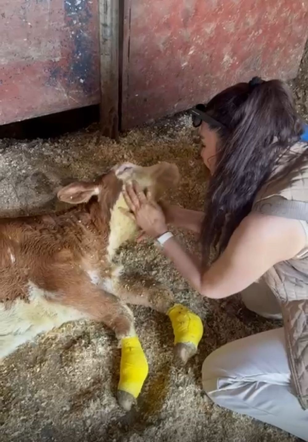 Sosyal medyada CZN Burak ve Aysu Baçeoğlu konuşuluyor