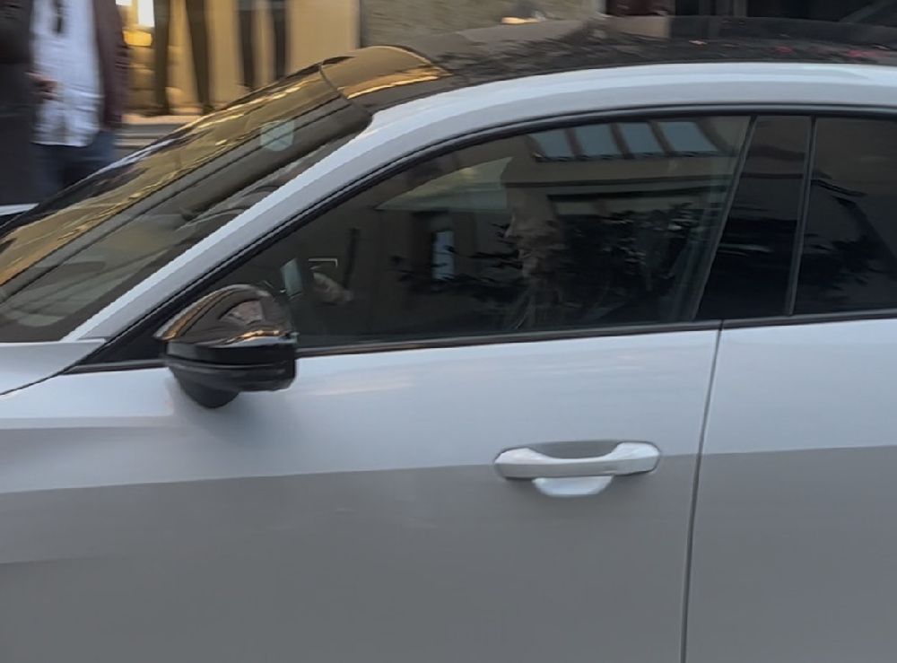 Mehmet Ali Erbil'den Gülseren Ceylan'a milyonluk düğün hediyesi