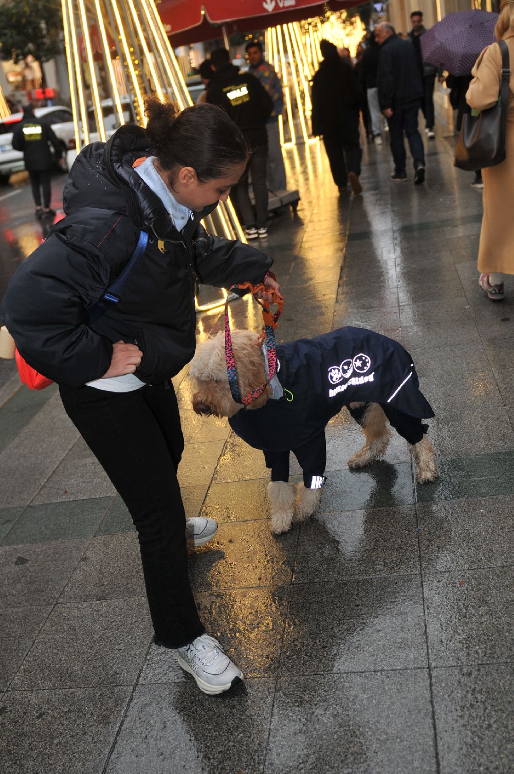 Ecem Erkek köpeğine yağmurluk giydirdi
