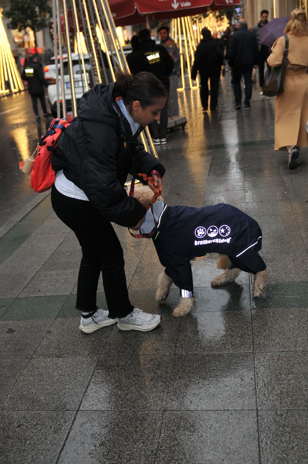 Ecem Erkek köpeğine yağmurluk giydirdi