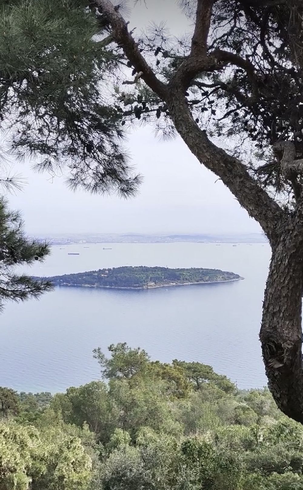 Adalarda Hayat Var belgeseli yayında