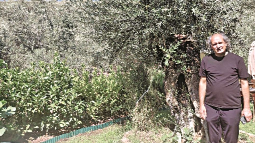 Kazdağları'nda samimiyetin ve doğallığın adresi 1774 Termal Butik Otel