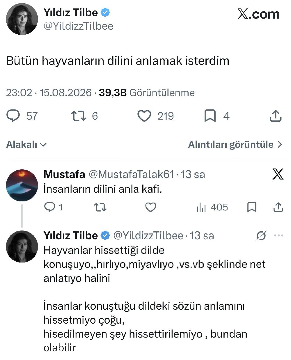 Yıldız Tilbe, X'de takipçisine verdiği cevapla dikkat çekti