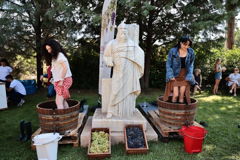 Denizli'de bağcılık, tarih ve gastronomi buluştu