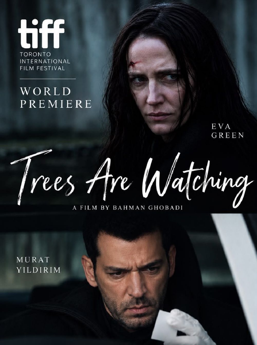 Trees are Watching filminin festival afişi yayınlandı