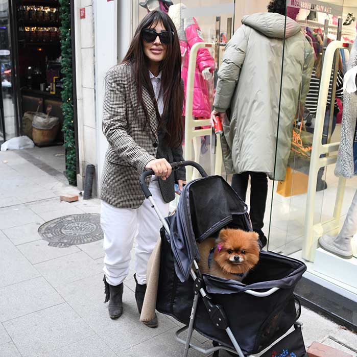 Annesiyle Davalık Olan Seren Serengil&#039;den Flaş Sözler!