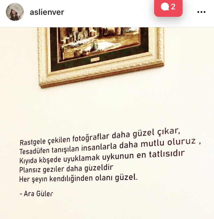 Aslı Enver ile Berkin Gökbudak Evlendi