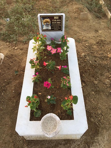 Morena Taraku Köpeğine Aldığı Kıyafetle Şaşırttı