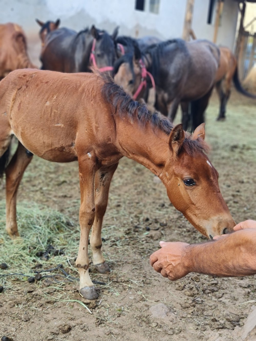 Canan Anderson’dan anlamlı destek