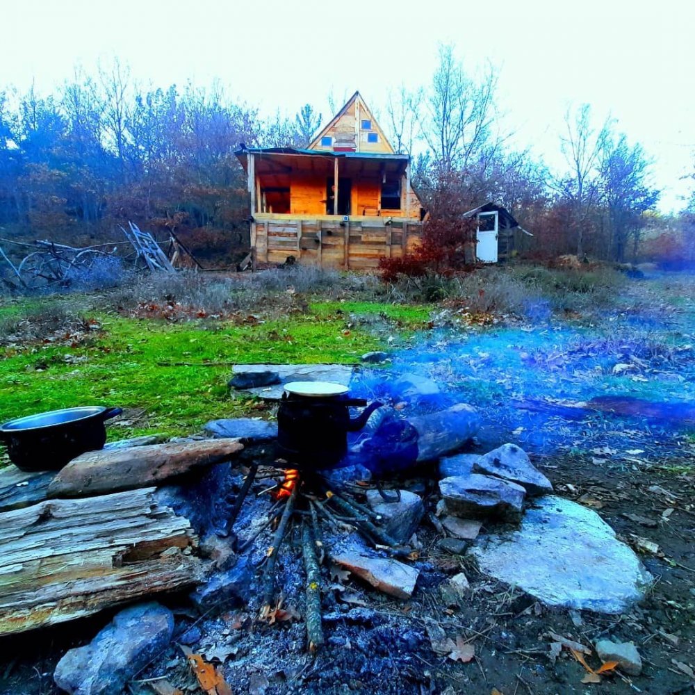 Ünlü Şarkıcı Şehirden Ormana Kaçtı!