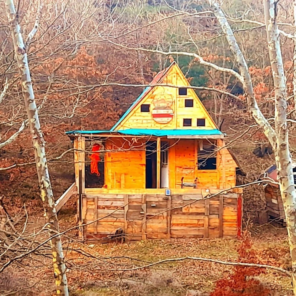 Ünlü Şarkıcı Şehirden Ormana Kaçtı!