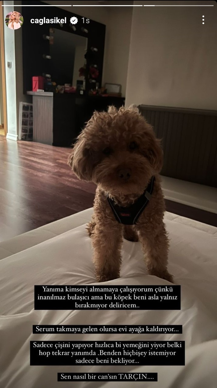 Çağla Şıkel elini kırdı 