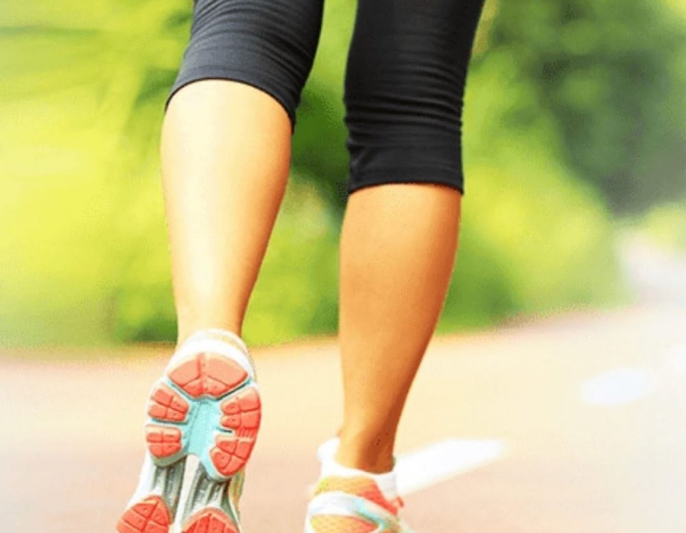 Varis Ne Zaman Tehlikelidir?